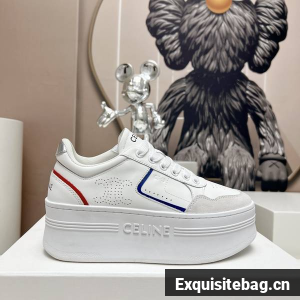 Celine Shoes Couple CES00066