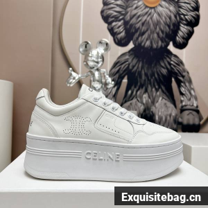 Celine Shoes Couple CES00067