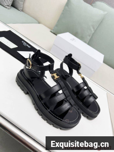 Celine Shoes CLS00008