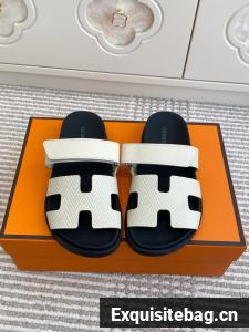 Hermes Chypre sandals H22229-4