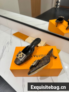 Louis Vuitton Slippers 45001-1