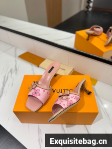 Louis Vuitton Slippers 45001-10