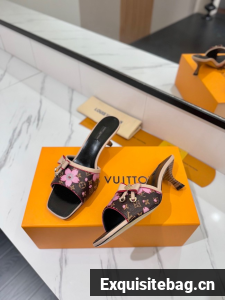 Louis Vuitton Slippers 45001-13