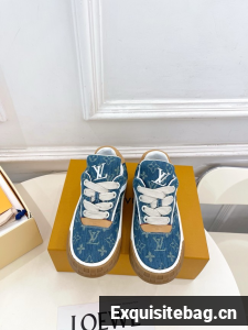 Louis Vuitton Trainer Sneaker 35963-6