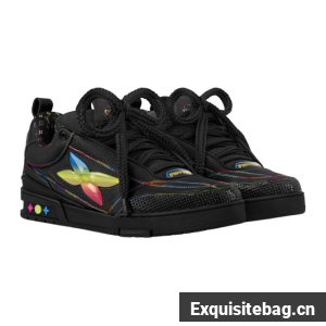 Louis Vuitton Trainer Sneaker 45107-1