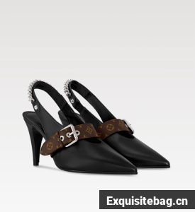 Louis Vuitton Vibe Slingback Pump 66895-5