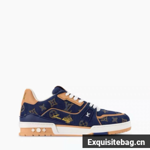 Louis Vuitton sneaker 45121-2