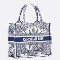 Dior Small Book Tote Bag In WhiteBlue Reve dInfini Embroidery