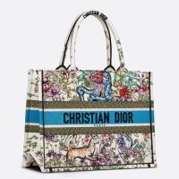 Dior Medium Book Tote Bag In Latte D Constellation Embroidery