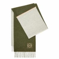 Loewe Window Scarf in GreenBeige Wool and Cashmere