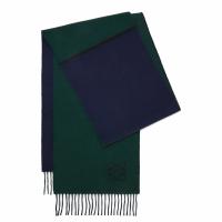 Loewe Window Scarf in GreenBlue Wool and Cashmere
