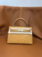 Hermes Kelly 19cm Shoulder Bags Ostrich skin KL6620 5
