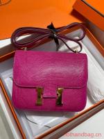 Hermes Original Lizard skin Constance Bag BK7828 5