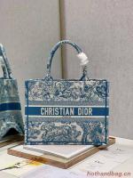 DIOR BOOK TOTE Embroidery C1287 6 blue