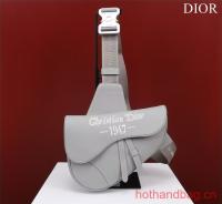 Dior Essentials SADDLE BAG Grained Calfskin 1ADPO093f 1 gray