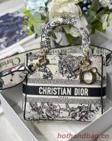 Dior MEDIUM LADY D LITE BAG Embroidered M0565 15