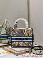 Dior MEDIUM LADY D LITE BAG Embroidered M0565 18