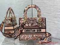 Dior MEDIUM LADY D LITE BAG Embroidery M0565OE 2