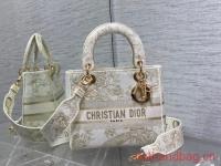 Dior MEDIUM LADY D LITE BAG Embroidery M0565OE 4