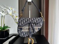 Dior SADDLE BAG Embroidery M0446C 3