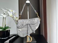 Dior SADDLE BAG Embroidery M0446C 4