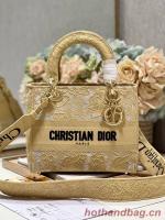MEDIUM DIOR OR LADY D LITE BAG M0565OOCO 1