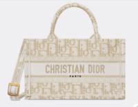 MINI DIOR BOOK TOTE WITH STRAP Gold Tone Dior Oblique Embroidery S5573CTQ