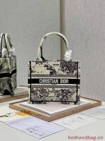 SMALL DIOR BOOK TOTE Embroidery C1331 4
