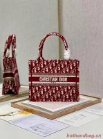 SMALL DIOR BOOK TOTE Embroidery C1331 5