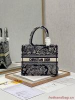 SMALL DIOR BOOK TOTE Embroidery C1331 8