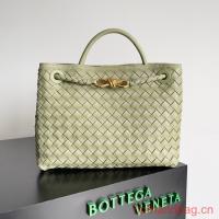 Bottega Veneta Medium Andiamo 743572 light green