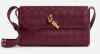 Bottega Veneta Mini Andiamo Cross Body Bag 755545 Barolo