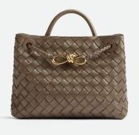 Bottega Veneta Small Andiamo 743568 Dark Brown